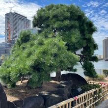 田蓑橋のたもとです