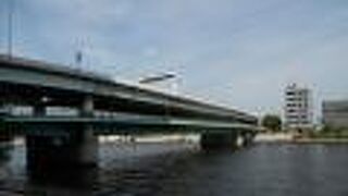 こんな時期のお散歩にぴったり