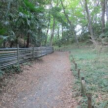 三田氏館跡空堀と土塁