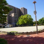 普通の都市公園かな