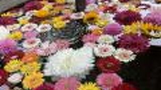 公園の中を通って。。。