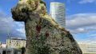 白い花が基調の2022年9月のパピー