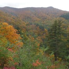 周囲の山の紅葉