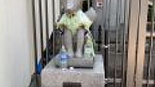 おしゃれキツネ