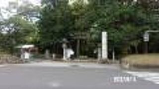 自然林が豊かな神社です。