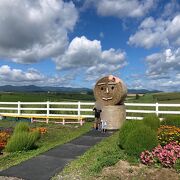 美瑛の風景が見渡せる