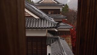 紅葉もきれいな城跡　上田城跡