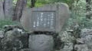 円山公園の中にありました。