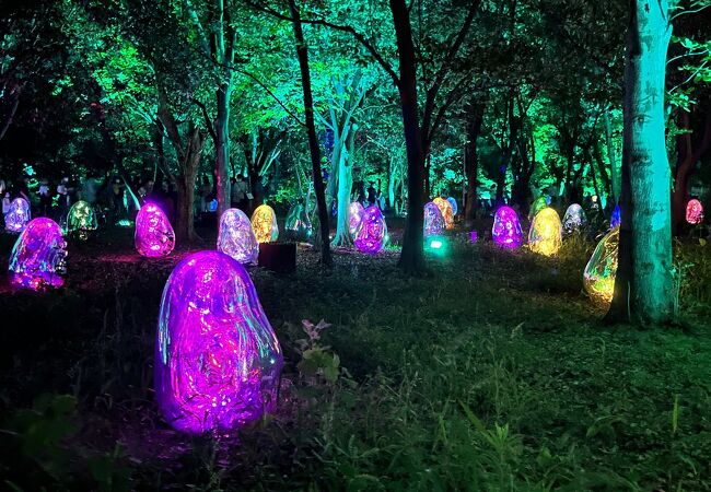長居植物園 クチコミ アクセス 営業時間 住吉 平野 フォートラベル