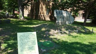 夏の北海道大学