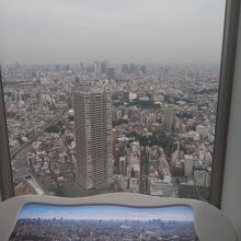 曇りですがそれなりにたのしめた