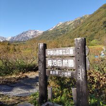 栂池自然園の入口