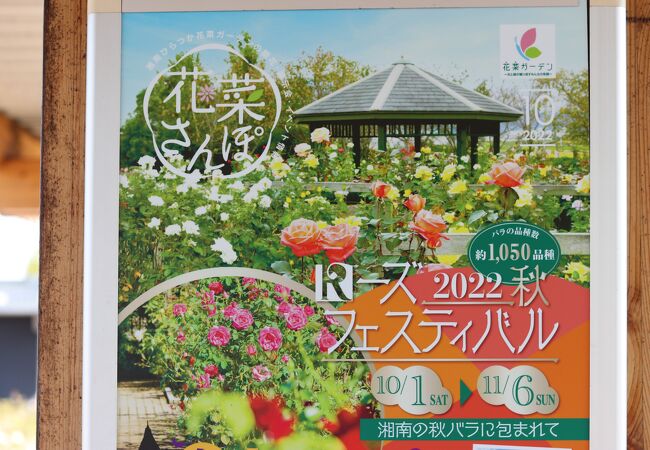 平塚 大磯の公園 植物園 クチコミ人気ランキングtop10 フォートラベル 神奈川県