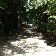 伊藤佐千夫の墓があります。