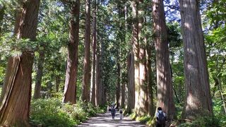 物語の中の世界のような神社