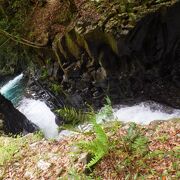 2つの流れが出合うようすは見られずに残念