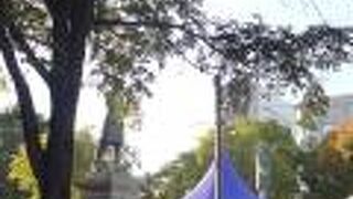 大通公園の１０丁目にあります。