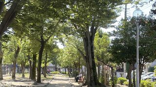 どんぐりを拾いに