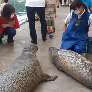 ささやかながら堅実な水族館でした