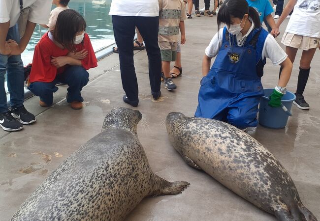 ささやかながら堅実な水族館でした