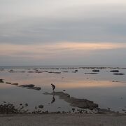 鏡のような水面の海岸です