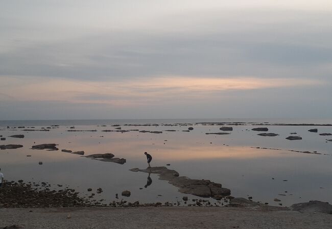 鏡のような水面の海岸です