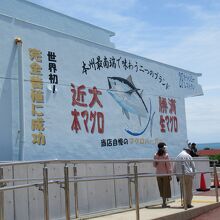 潮岬観光タワーレストラン