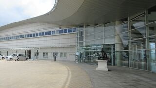 うさぎが走っている