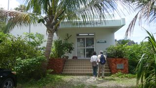 可愛いウミカメが無料で見れます！