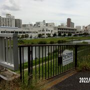 江東区と江戸川区の境の川です。