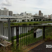 中川新橋からの景観です。