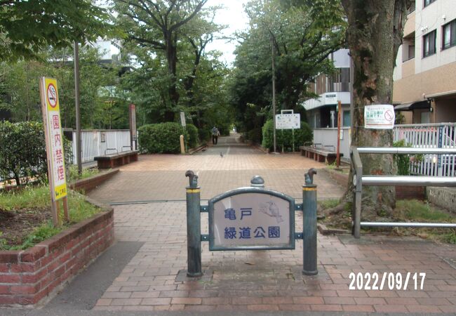 亀戸緑道と大島緑道が連続した公園です。
