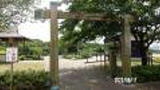 旧中川沿いにある公園として整備された施設があつまっています。