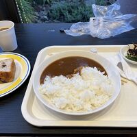 朝カレー