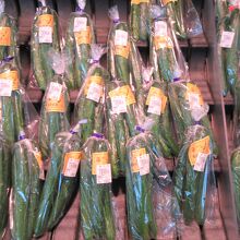 取り立てのキュウリ