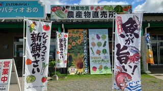 ひまわりの丘公園にいってきました。