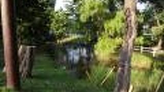 地下鉄南北線の幌平橋駅を降りて、中島公園の方向に歩いていくと、この鴨々川の水遊び場がありました。