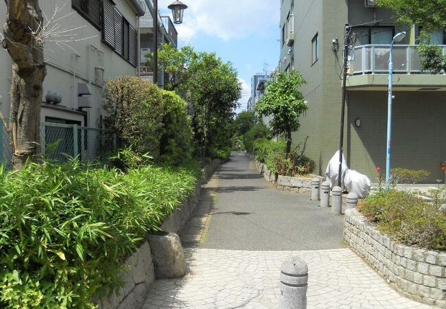 高円寺駅南側の商店街と住宅地を結んでいます