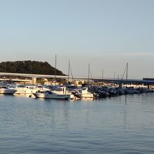 プロムナード上部を通り平潟湾を渡るシーサイドライン