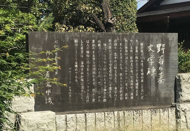 野菊の墓