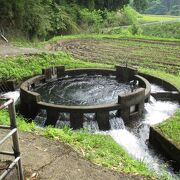 耕地面積に応じて３分配です。