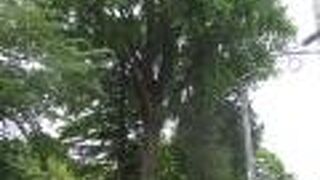 寺号は動物の霊を供養するため。