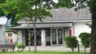 コロナの影響が大きいのでしょうか。