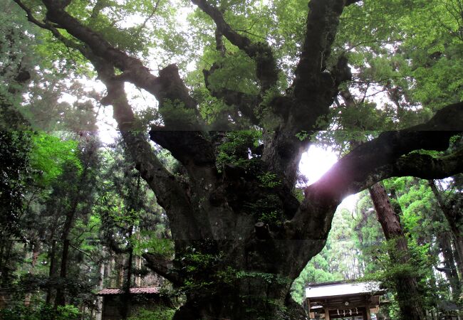 籾山八幡社