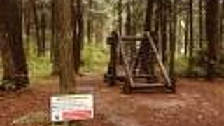 信州大芝高原 アスレチック