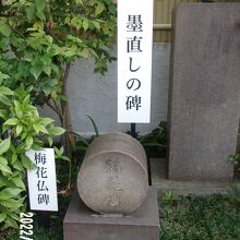 全体の様子です。