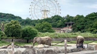 渋川動物公園に行きました