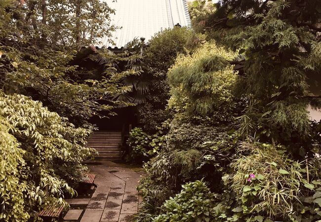 草木がたくさん茂る