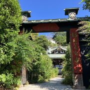 日蓮と「ぼたもち寺」