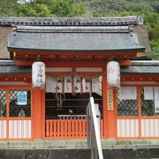 宇治上神社と比べたらあかんのかもしれませんが